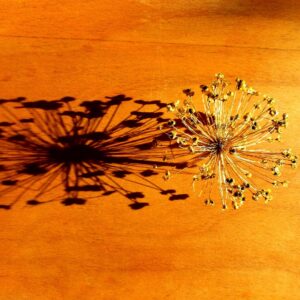 Silent SoulFlow Letter ~ "GanzSEIN"